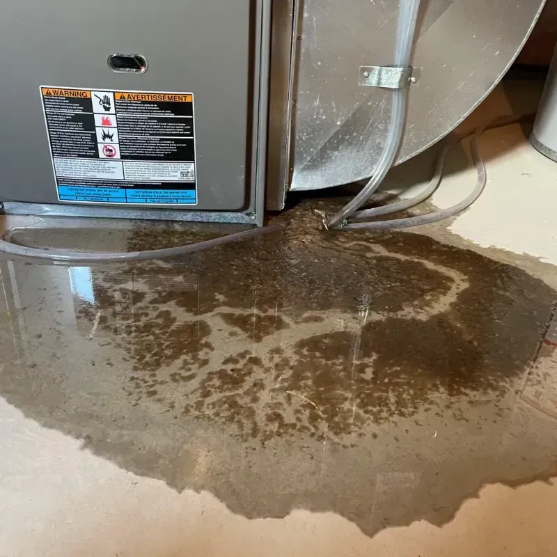 Appliance Leak Cleanup in Buncombe County, NC